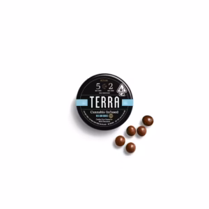 Kiva Terra Milk & Cookies 5:2 CBN Bites