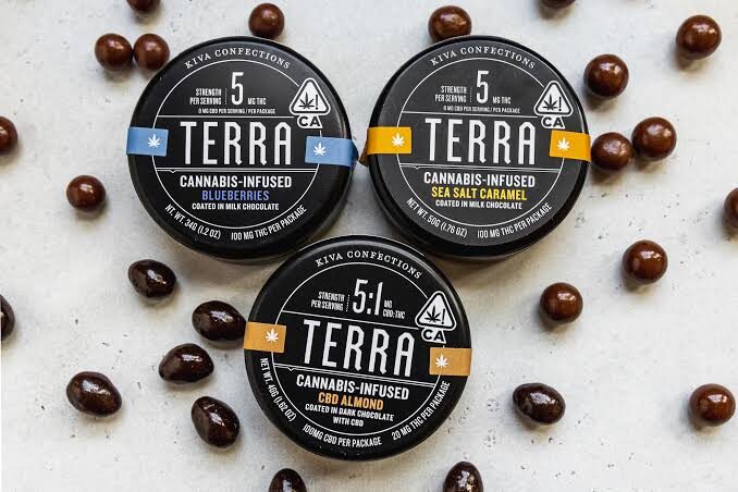 terra bites